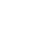icon-disabled-person
